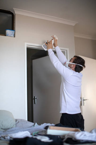 Best Mold Odor Removal Services  in Silver Springs, NV