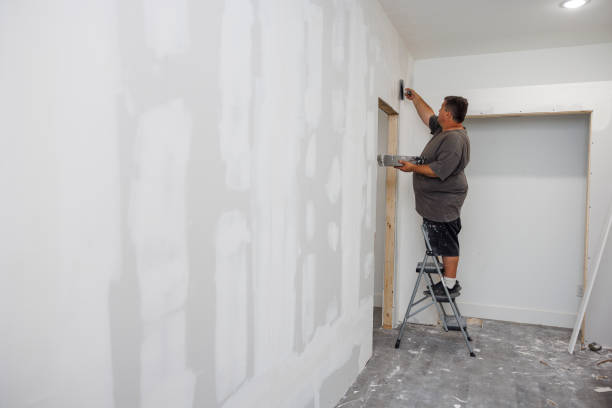 Best Post-Construction Mold Inspection  in Silver Springs, NV