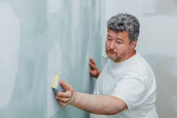 Mold Documentation for Insurance Claims in Silver Springs, NV